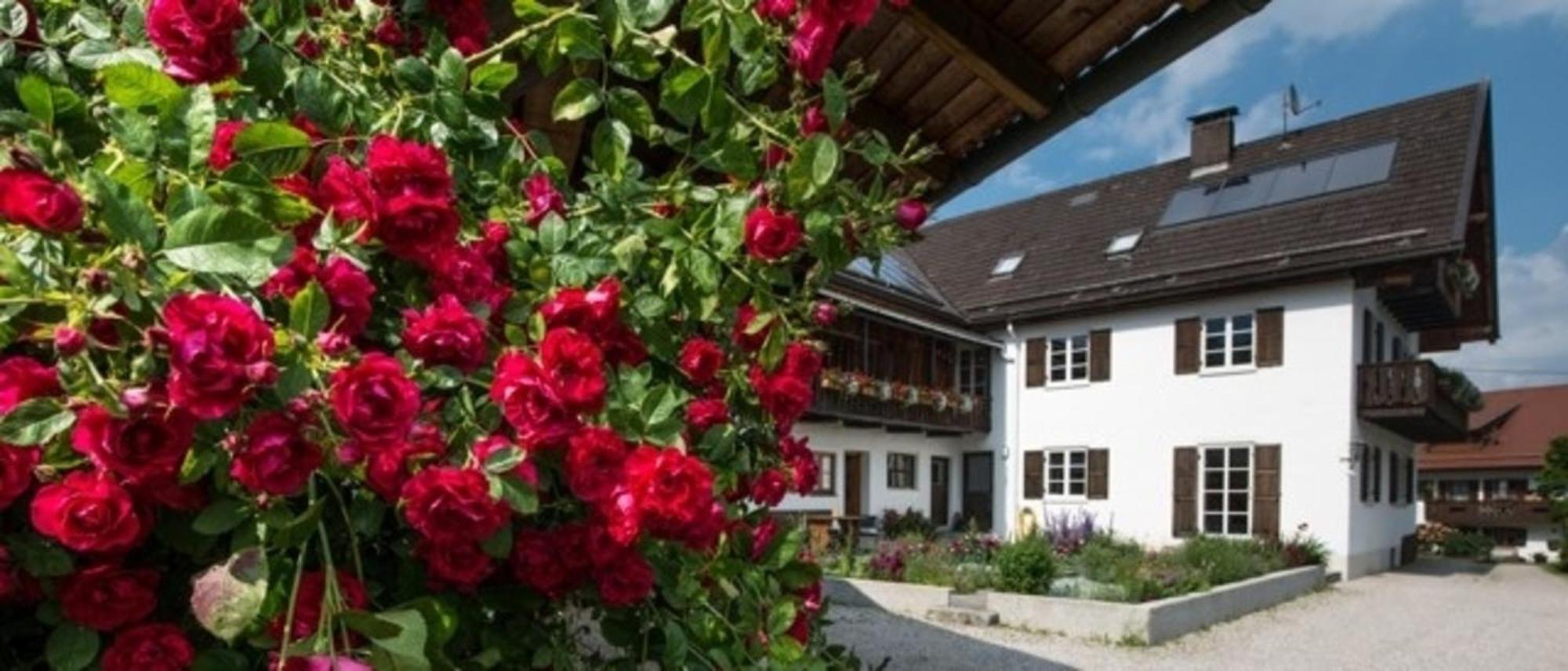 Ferienwohnung Lacherhof Seehausen am Staffelsee Extérieur photo